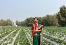 केंद्रीय आरोग्य राज्यमंत्री डॉ. भारती पवार यांनी सोलमारी, आसाम मध्ये स्ट्रॉबेरी फळ लागवडीच्या शेताला भेट