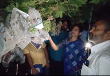 निफाड तालुक्यात पालखेड, कुंभारी,नांदुर्डी, उगावखेडे, पंचकेश्वर मोठ्या प्रमाणात गारपीट आणि अवकाळी पाऊस:-केंद्रीय आरोग्य राज्यमंत्री डॉ. भारती पवार शेतकऱ्यांच्या थेट बांधावर