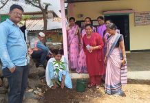 वृक्ष लागवड करून जागतिक पर्यावरण दिन साजरा.