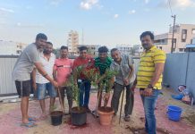 मोक्ष फाउंडेशन कडून जागतिक पर्यावरण दिन साजरा