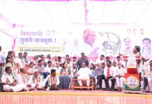 शेवगाव-पाथर्डी विधानसभा मतदारसंघात काकडे राजळे ढाकणे घुले चव्हाण यांच्या प्रचाराच्या रणधुमाळीला सुरुवात