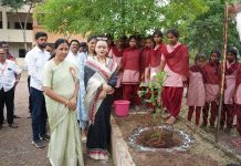 पर्यावरण रक्षणार्थ धरा वृक्षारोपणाचा ध्यास : समाज सेविका व चेअरमन समृद्धी सहकारी बँक नांदगाव सौ.अंजुमताई कांदे