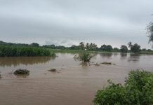 कासार पिंपळगाव, जवखेडे खालसा, हनुमान टाकळी, कोपरे,वाघोली परीसरात आपत्कालीन पुरग्रस्त परिस्थिती